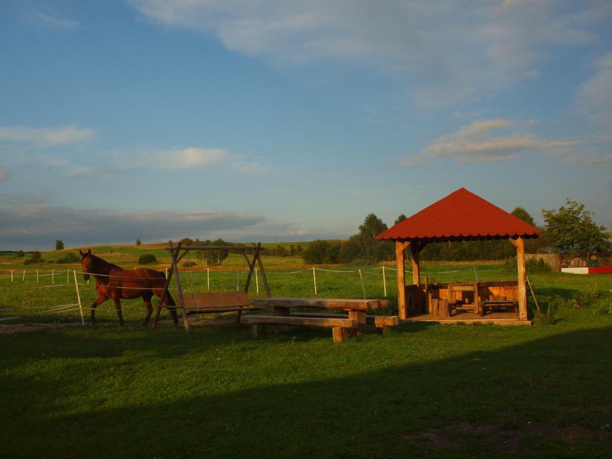 Wakacje U Babci Krysi Gorno  Exterior photo
